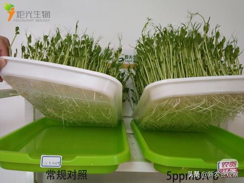 炬光生物 十年研发铸就肥药增效剂行业的黑马传奇