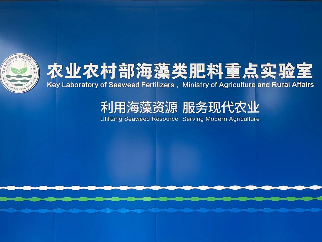 海藻源肥料增效剂 专业供应商驱动现代农业绿色升级
