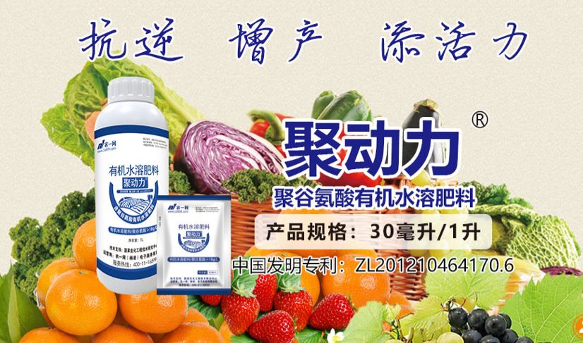 肥料检出植物生长调节剂最高可处20倍罚款，聚谷氨酸或成安全增效新选择