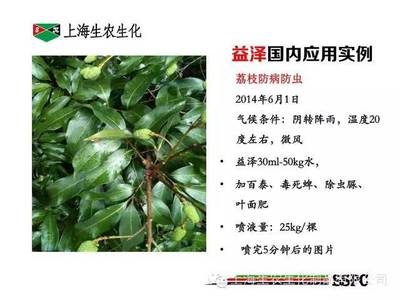 生农益泽酯化植物油增效剂应用案例解析 提升农药效能的关键助力
